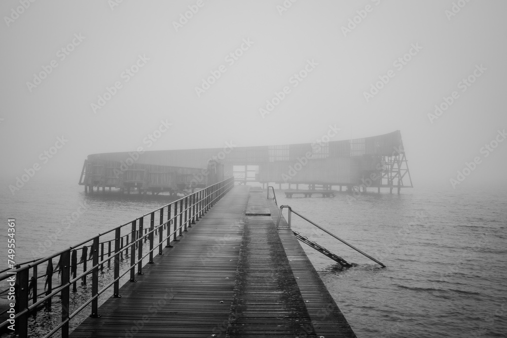 Obraz premium wooden bridge in the fog