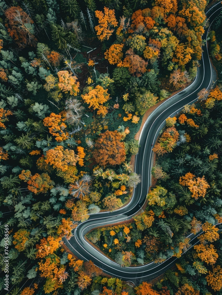 Curvy forest road during autumn season - Aerial view capturing the contrast of colorful autumn trees and a winding road in a lush forest