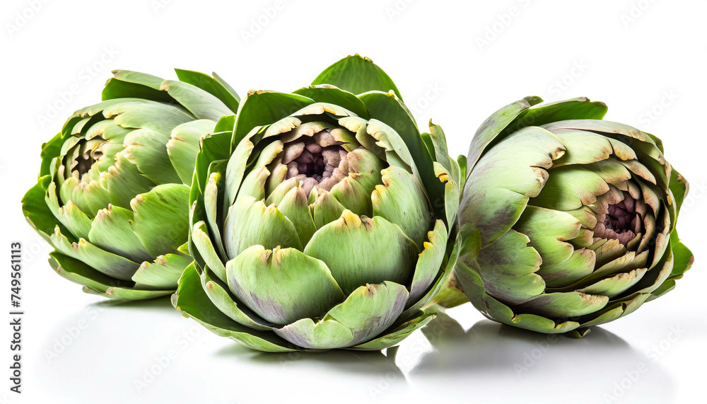 Fototapeta premium Artischoken isoliert auf weißen Hintergrund, Freisteller 