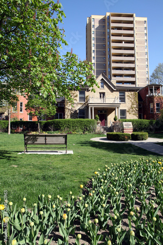 Fototapeta Naklejka Na Ścianę i Meble -  Old house and garden outside Wellesley Street East - Toronto - Ontario - Canada