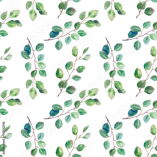 Eucalyptus watercolor, seamless pattern. Hand drawn green twigs isolated on white background. Cards, packaging, covers, textiles, wallpaper, fabric.