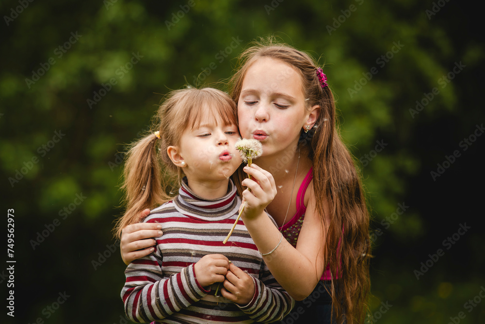 The sisters blow the fluff off the dandelion together. The sisters blow the fluff off the dandelion together.