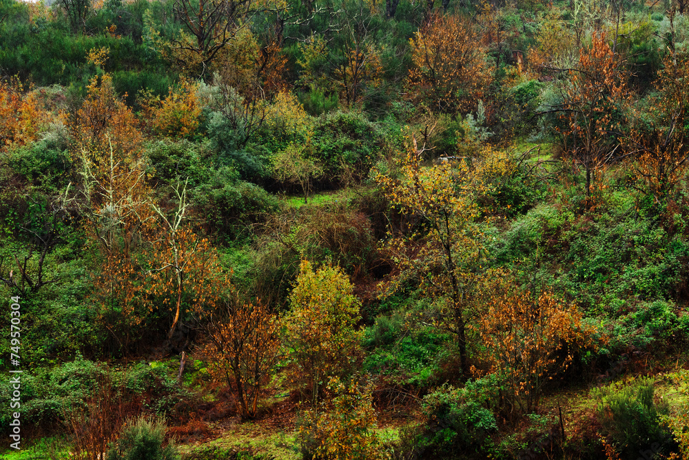 Landscape_Collection Landscape_Collection