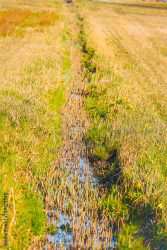 grass sloot bringing water towards the lake photo