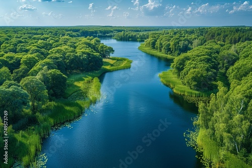 A lush summer landscape with a meandering river, green woods, and a scenic aerial view.