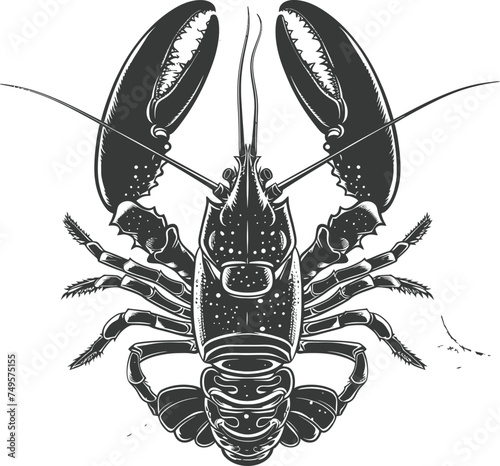 Silhouette lobster black color only