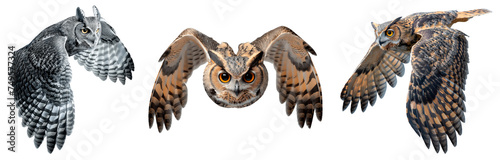 Set of owl isolated on the transparent background. An owl in flight flaps its large wings. photo