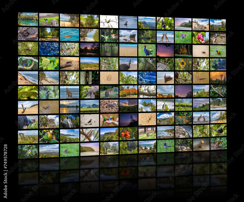 A variety of images of Landscapes and Animals of Queensland Australia as a big image wall. A variety of images of Landscapes and Animals of Queensland Australia as a big image wall.