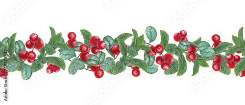 Mint and red berry. Seamless border. Banner with Lingonberries and Peppermint sprigs. Fragrant greens and juicy red cranberry. Watercolor illustration isolated on white background.