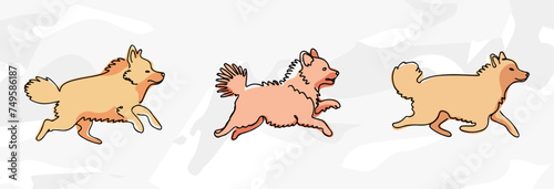 Pastellfarbene Pomeranian Lineart-Illustrationen: Vektorgrafik-Bündel