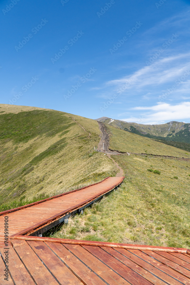 Vertical view of a hiking trail in the mountains during summer. Vertical view of a hiking trail in the mountains during summer.