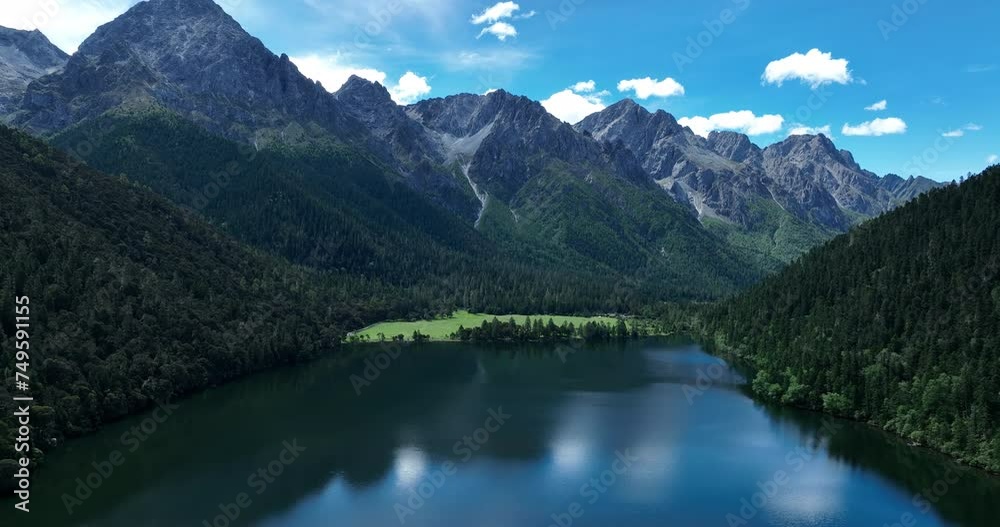 Beautiful forest landscape in Sichuan, China Beautiful forest landscape in Sichuan, China