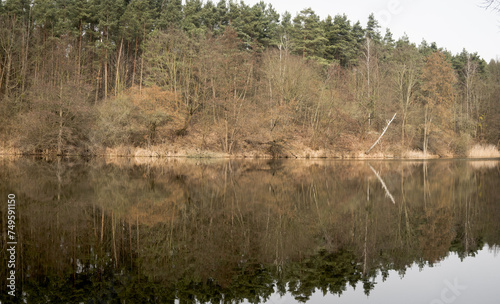 Fototapeta Naklejka Na Ścianę i Meble -  Jezioro z odbiciem lasu w tafli wody.