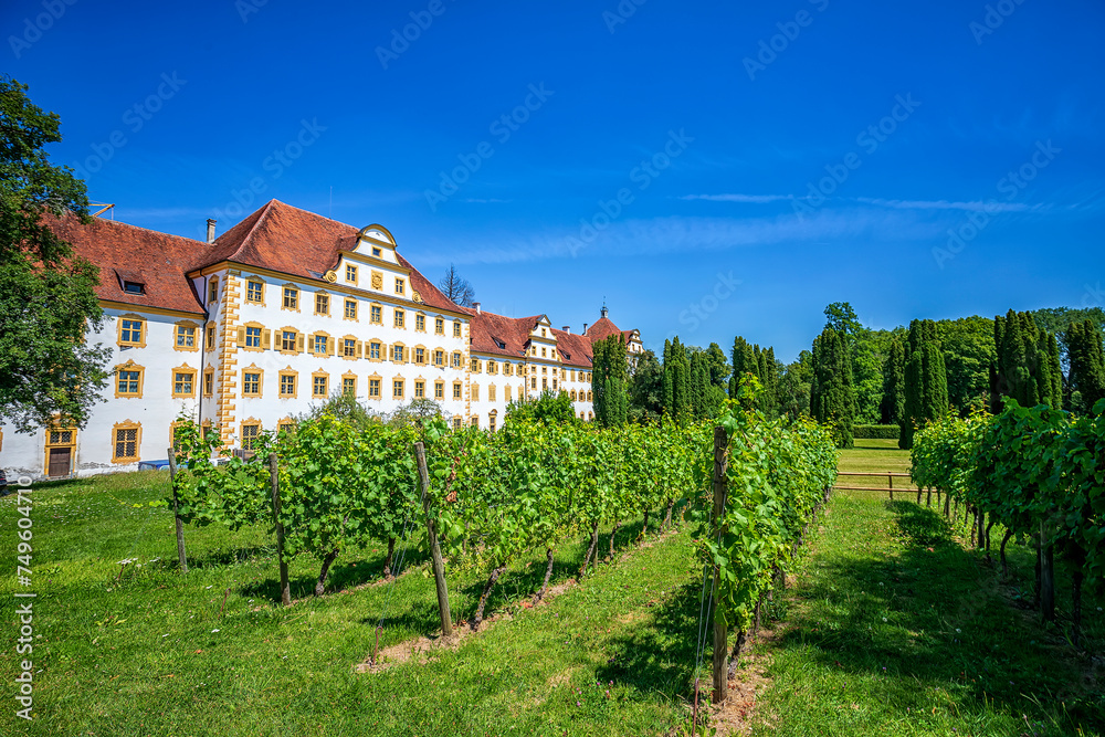 Castle and vineyard of Meersburg in Germany