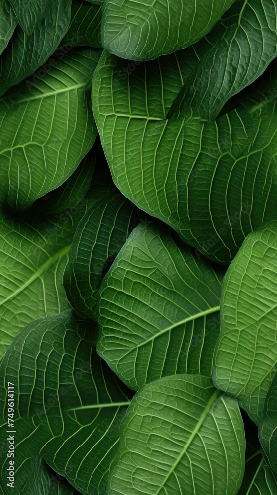 Fototapeta premium Seamless Tilable Leaves Texture Pattern