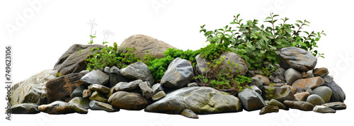 Serene rocky garden with diverse plants and stones, cut out - stock png.