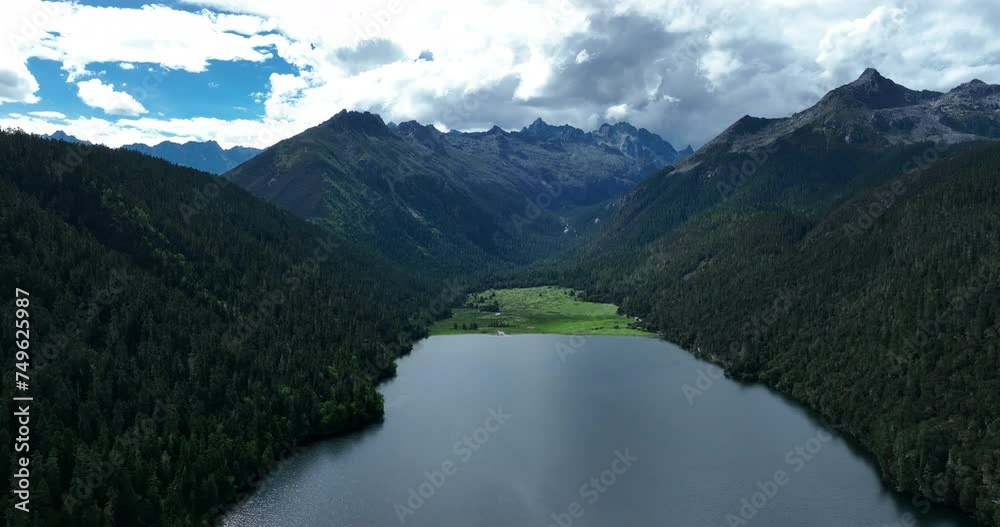 Beautiful forest landscape in Sichuan, China Beautiful forest landscape in Sichuan, China