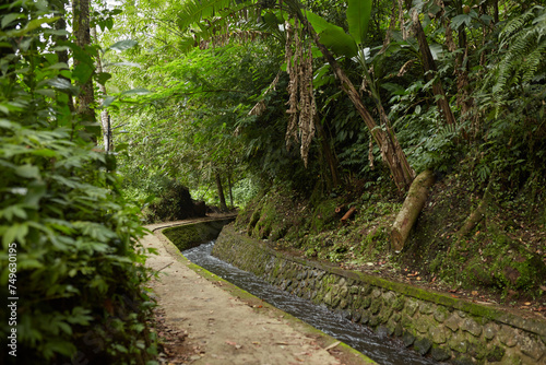 A canal with a river and a path climbing a mountain in the jungle on the popular tourist island of Bali.