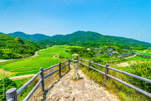 緑の田んぼが美しい夏の田染荘の田園風景