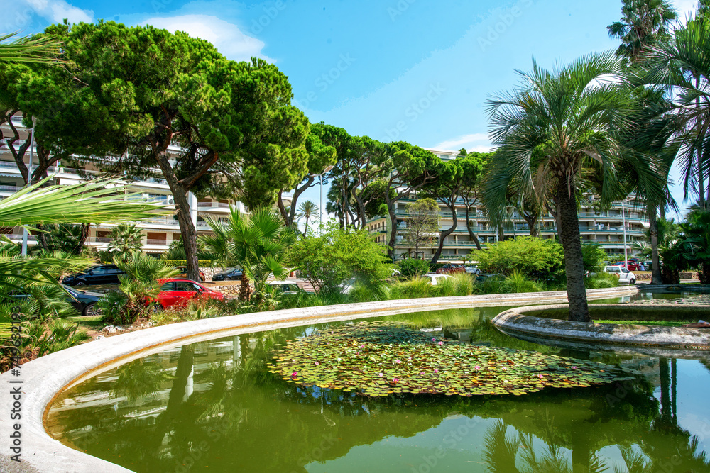Awe Panorama of left part of Croisette (no people) luxury park with large fantastic palm trees, pond with pink water lilies
