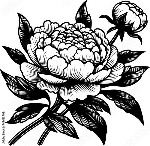 Peony flower black outline vector illustration. Coloring book.