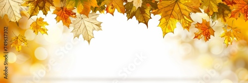 Autumn orange banner with blurred maple leaves background for seasonal design projects
