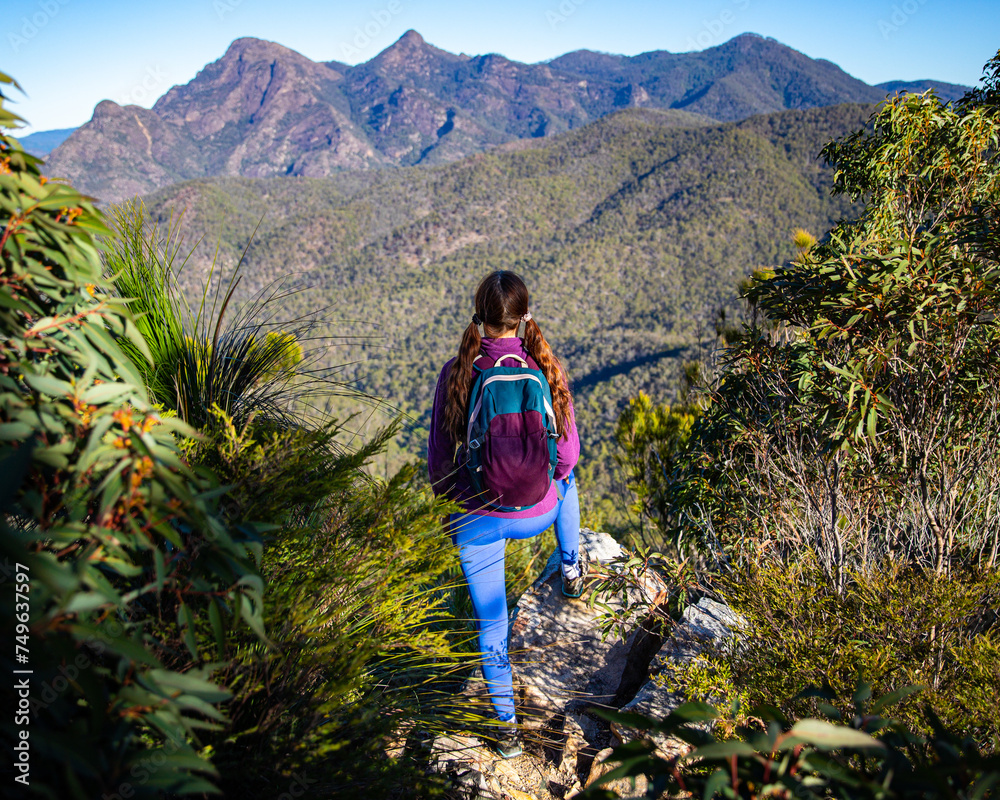 Fototapeta premium backpacker admires the panorama of australian mountains in mount barney national park; majestic view from the top of mount may, queensland, australia