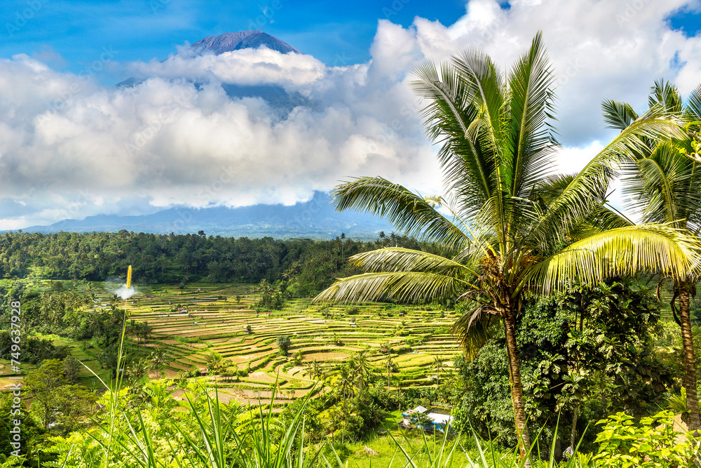 Rice field and volcano Agung, Bali Rice field and volcano Agung, Bali