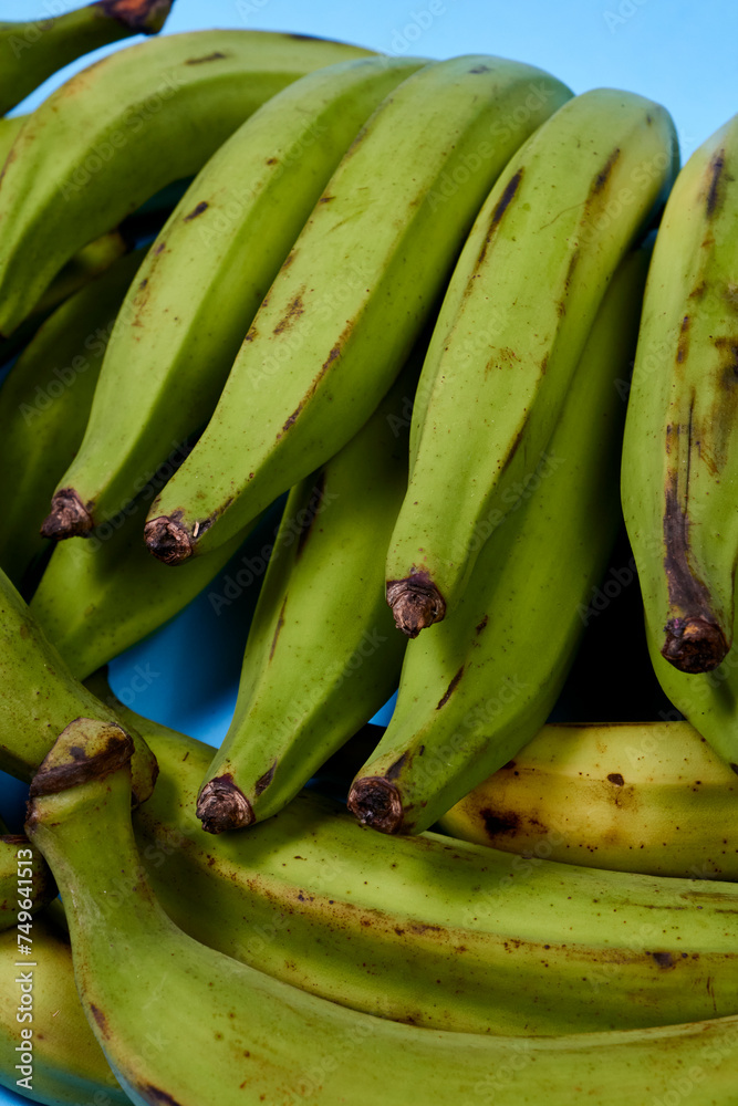 Fresh green banana on blue background, maqueno barraganete dominico Fresh green banana on blue background, maqueno barraganete dominico