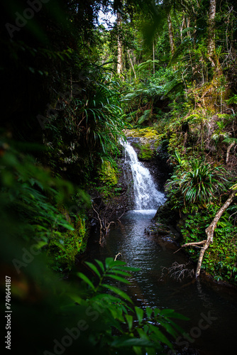Echo Falls - powerfull waterfall in a gondwana rainforest - Lamington National Park, Green Mountain section alogside Albert River Circuit