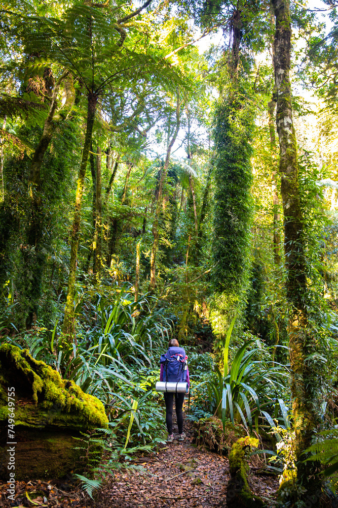 hiker girl with large backpack and camping gear walking through magical australian rainforest - lamington national park; camping in wilderness near brisbane, queensland, australia hiker girl with large backpack and camping gear walking through magical australian rainforest - lamington national park; camping in wilderness near brisbane, queensland, australia