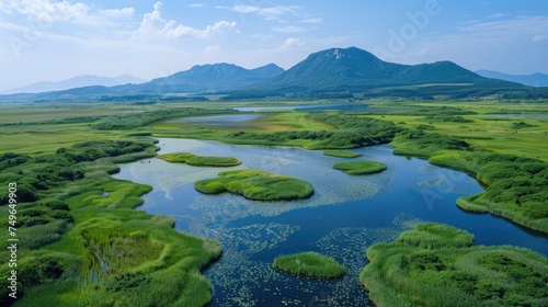 Jeju 1100 It is scenery of Koji wetland.