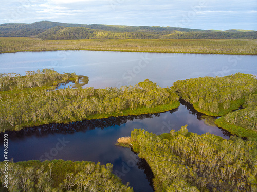 aerial panorama of unique ecosystem of noosa everglades - beautiful curvy noosa river and lush, green wetlands in south east queensland, australia, near sunshine coast and noosa heads 