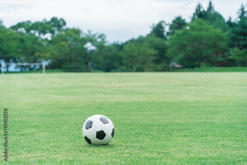 芝生のグラウンドとサッカーボール 