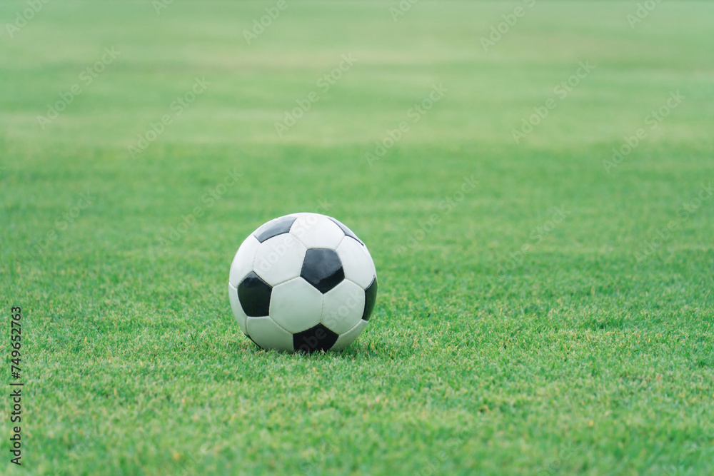 芝生とサッカーボール
芝生とサッカーボール