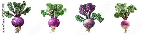 Turnip vegetable embroidered patch badge Hyperrealistic Highly Detailed Isolated On Transparent Background Png File