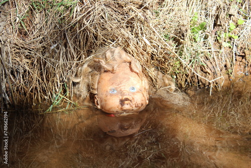 Doll Head and Reflection in Creek