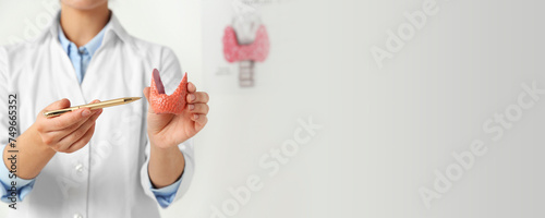 Endocrinologist showing thyroid gland model in hospital, closeup. Banner design with space for text