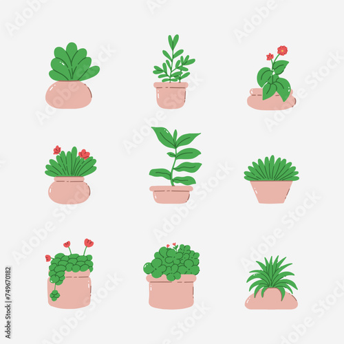 Plant in pot hand drawn vector illustration