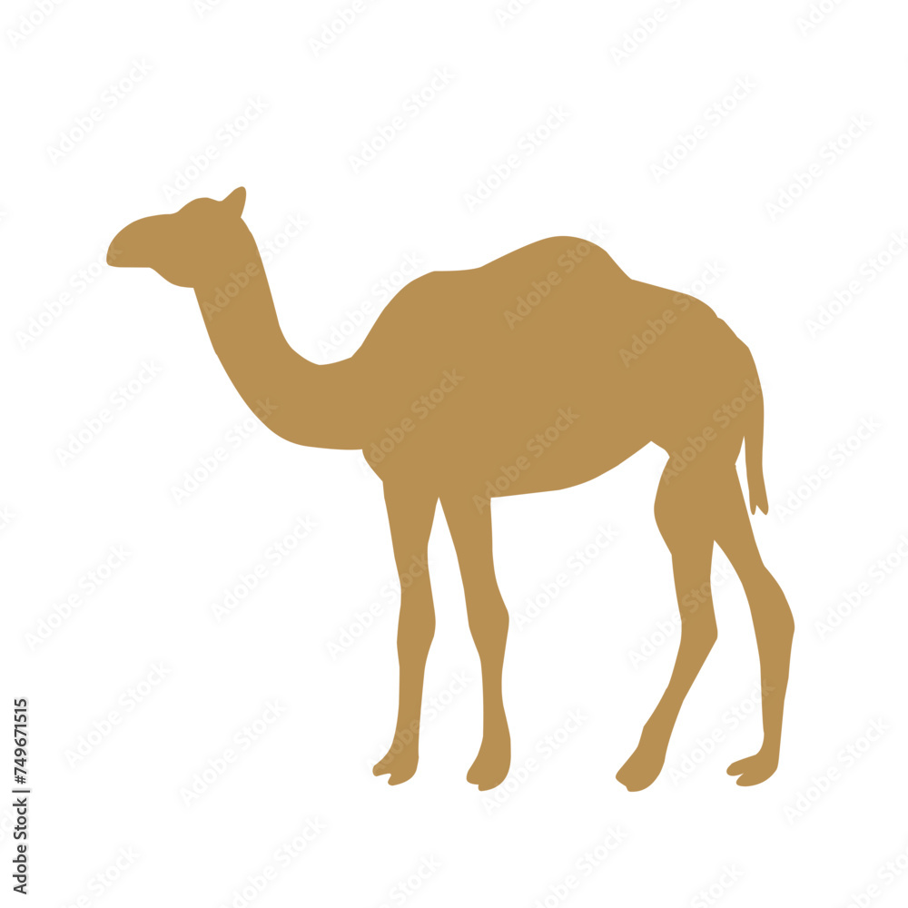 beautiful animal camel vector beautiful animal camel vector