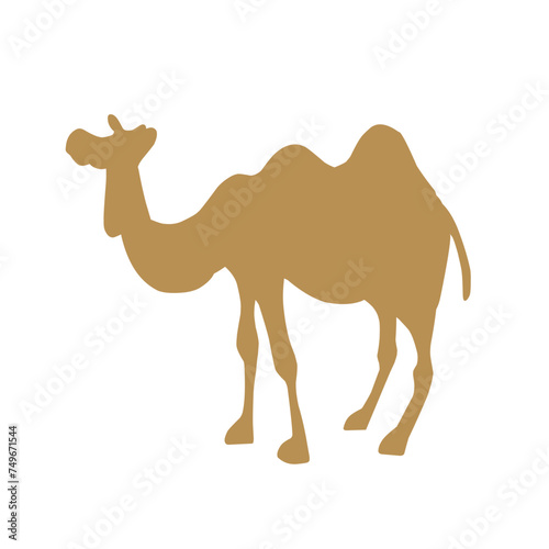 beautiful animal camel vector photo
