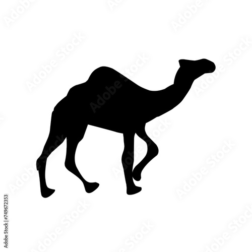 Camel Silhouette Vector