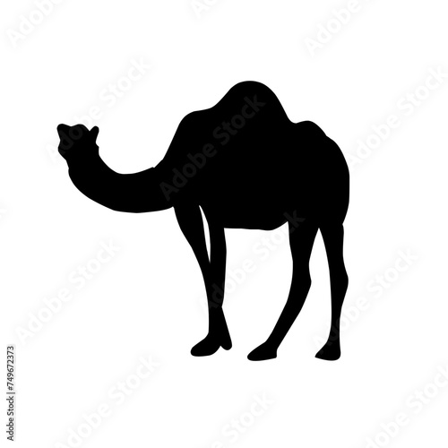 Camel Silhouette Vector