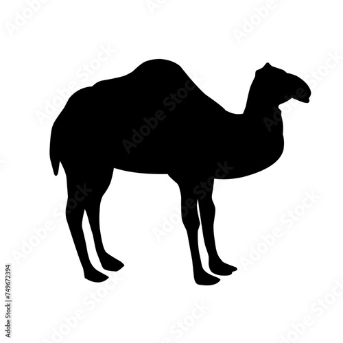 Camel Silhouette Vector
