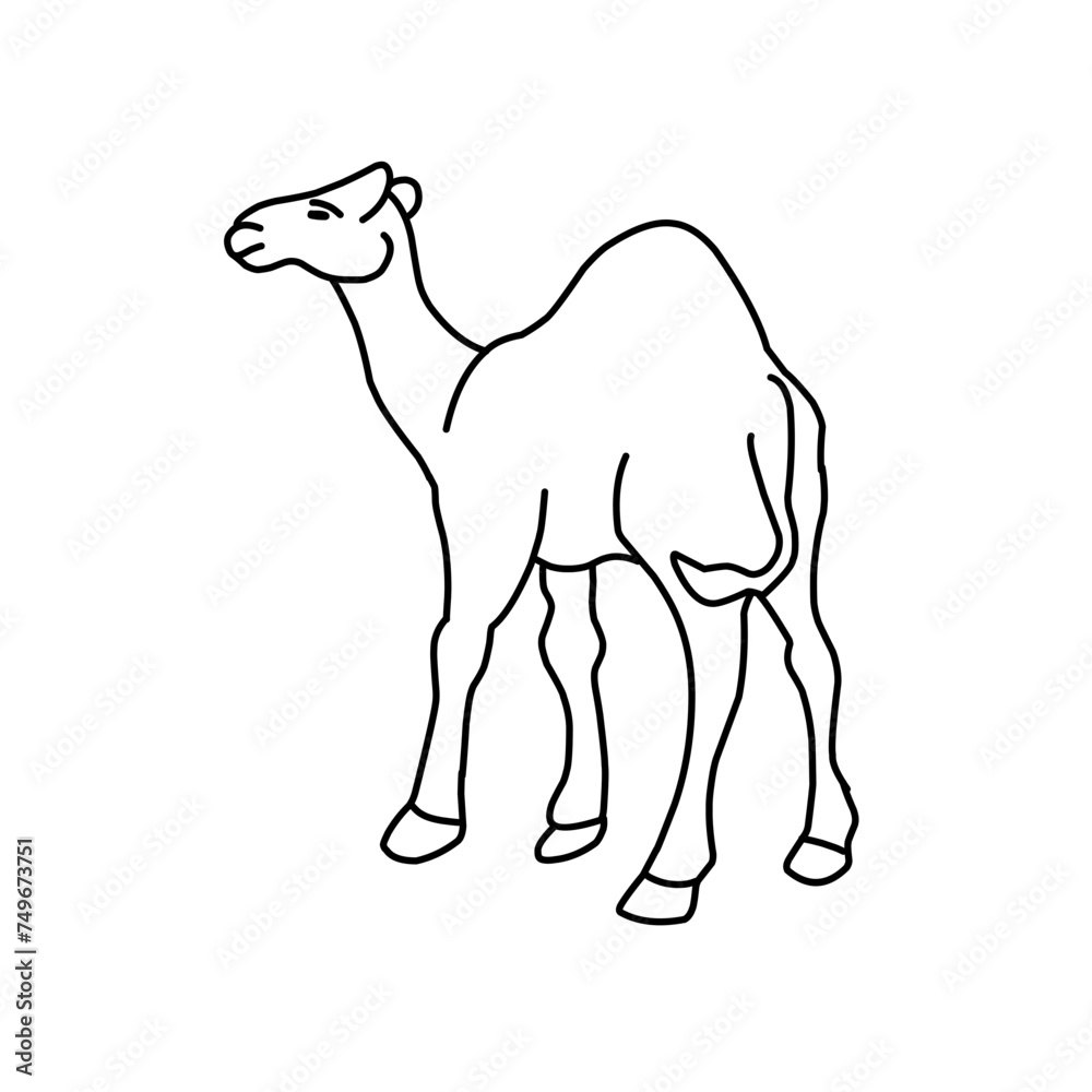 Camel Hand drawn illustration. Camel Hand drawn illustration.