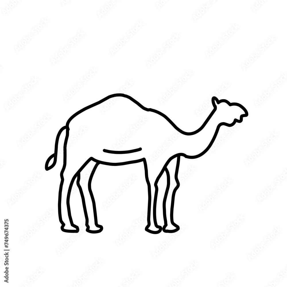 Camel Hand drawn illustration. Camel Hand drawn illustration.