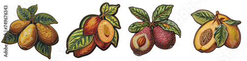 Sapodilla fruit embroidered patch badge Hyperrealistic Highly Detailed Isolated On Transparent Background Png File