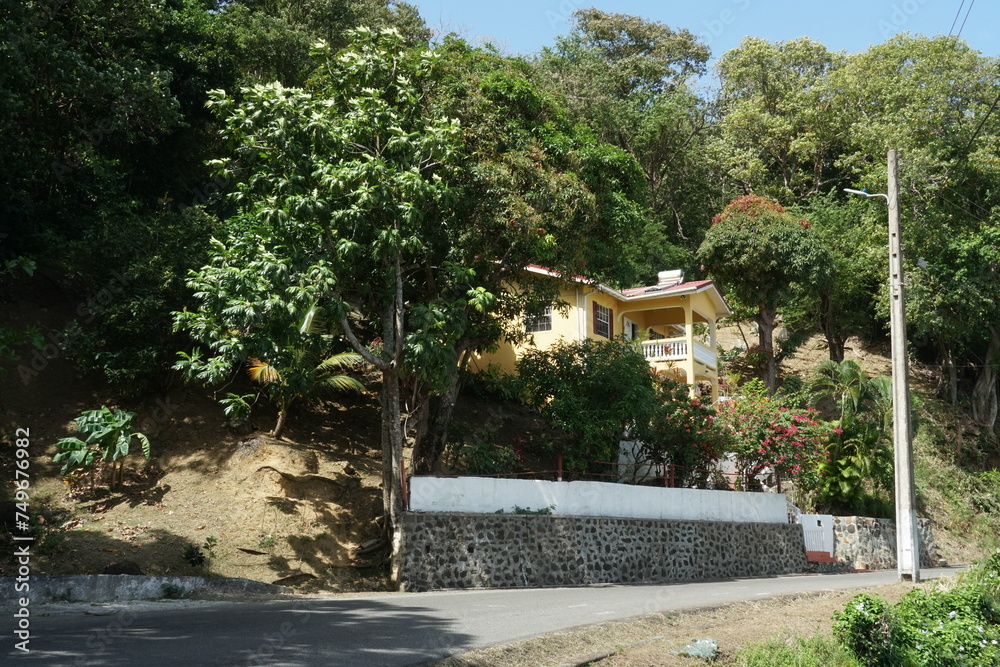 Yellow house with terrace built in Caribbean style surrounded by palm trees situated near the road on a hill above the port of Castries in Saint Lucia during spring time.