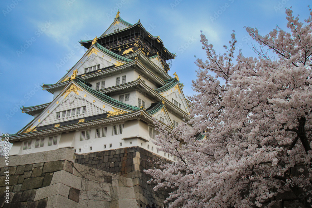 the peoples celebrate Hanami festival with full cherry blossom around Osaka castle River view and bridge blue sky ,Osaka Japan the peoples celebrate Hanami festival with full cherry blossom around Osaka castle River view and bridge blue sky ,Osaka Japan