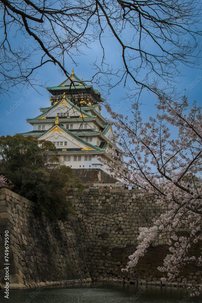 the peoples celebrate Hanami festival with full cherry blossom around Osaka castle River view and bridge blue sky ,Osaka Japan the peoples celebrate Hanami festival with full cherry blossom around Osaka castle River view and bridge blue sky ,Osaka Japan